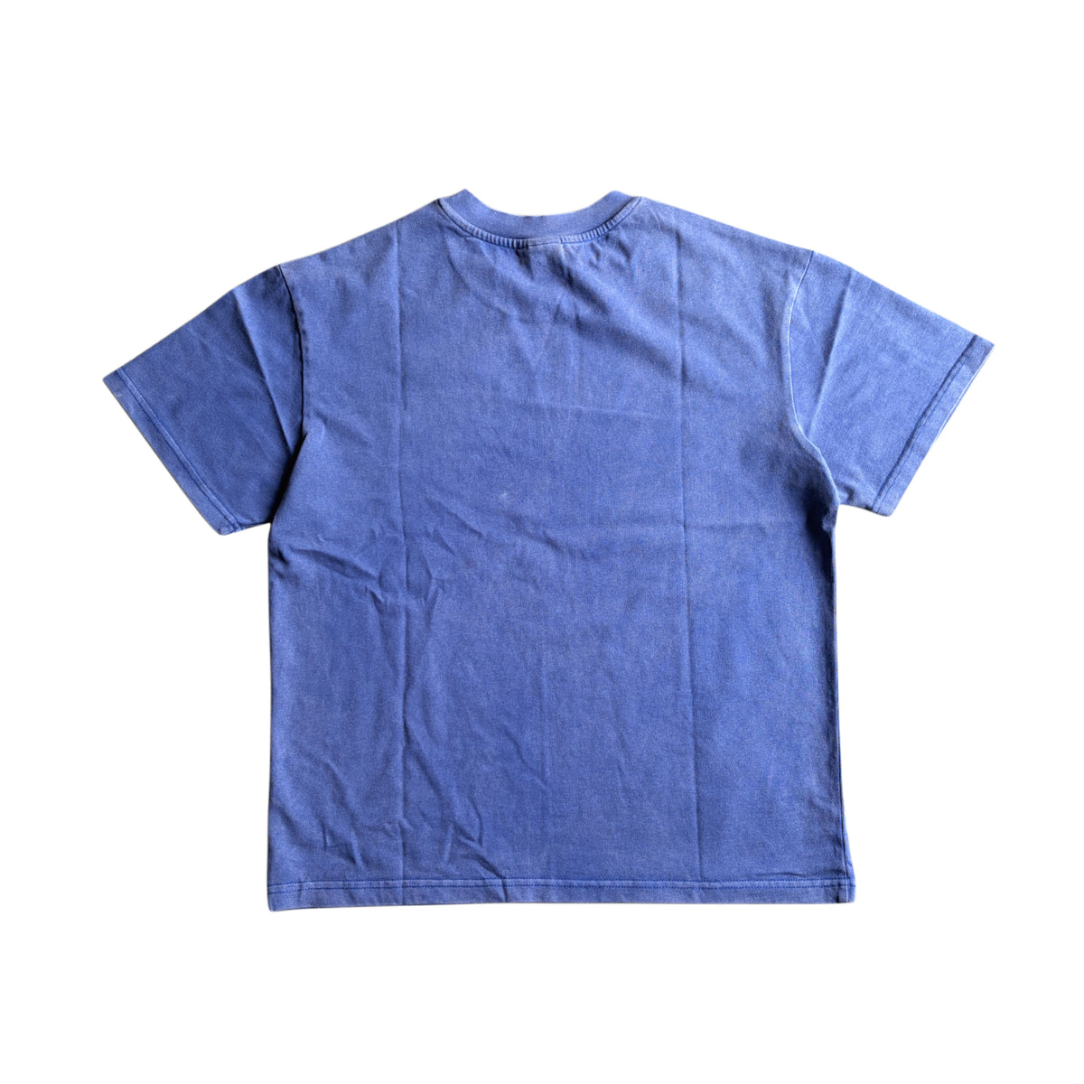 Scorpion T-Shirt